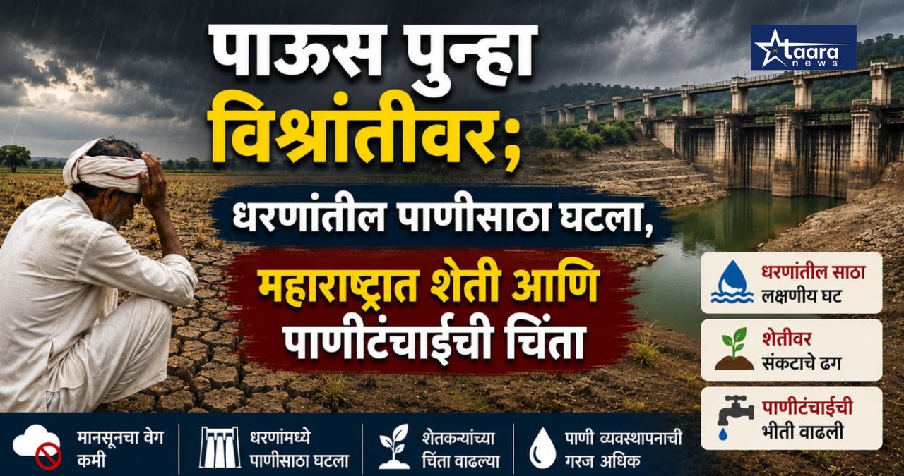 maharashtra rain break dam water level farming crisis